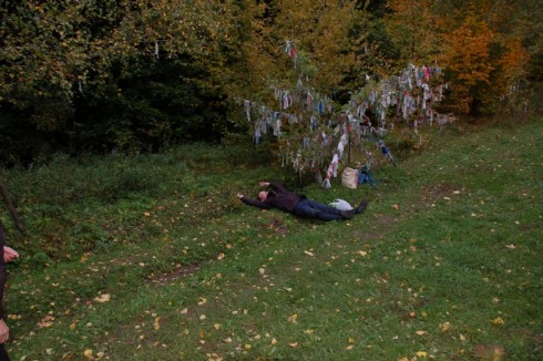 image019